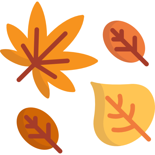 feuilles

